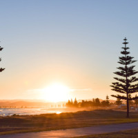 Gisborne